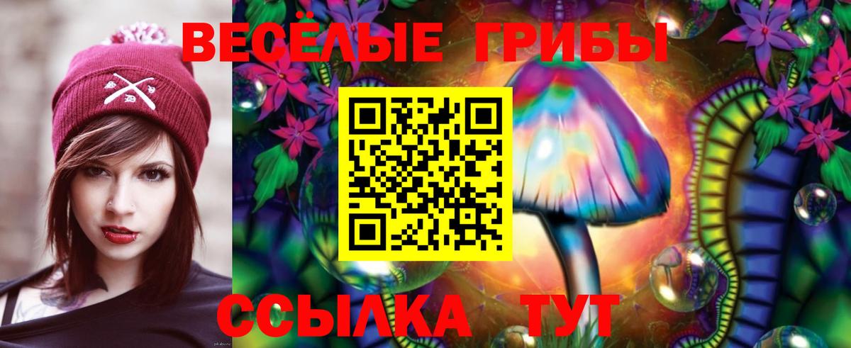 Галлюциногенные грибы мицелий Петрозаводск