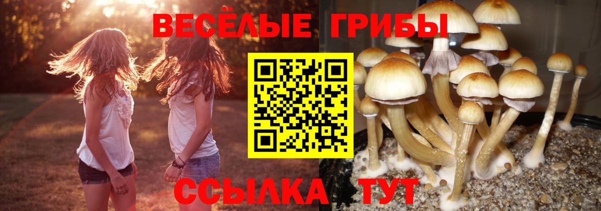Псилоцибиновые грибы Psilocybine cubensis  Вход с VPN  Галлюциногенные грибы Magic Shrooms  Петрозаводск 